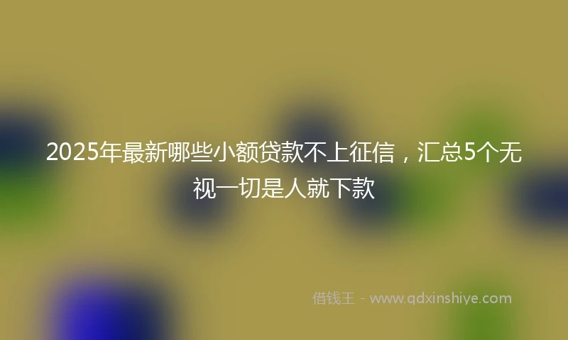 2025年最新哪些小额贷款不上征信，汇总5个无视一切是人就下款