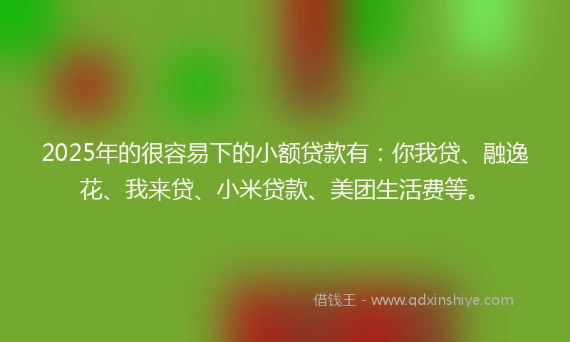 2025年的很容易下的小额贷款有：你我贷、融逸花、我来贷、小米贷款、美团生活费等。