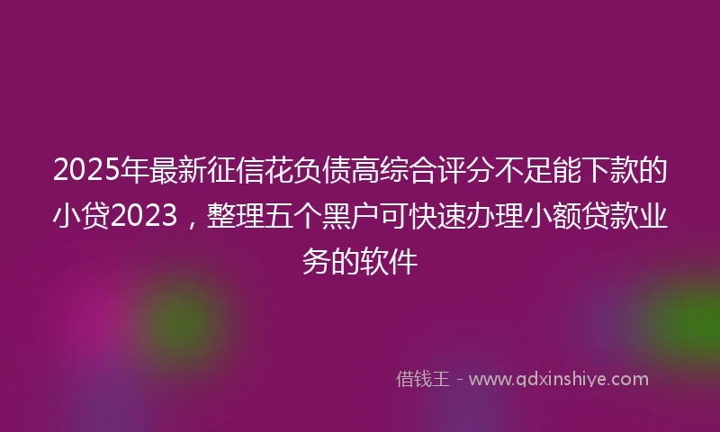 2025年最新征信花负债高综合评分不足能下款的小贷2023，整理五个黑户可快速办理小额贷款业务的软件