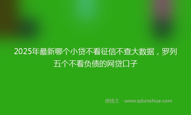 2025年最新哪个小贷不看征信不查大数据，罗列五个不看负债的网贷口子