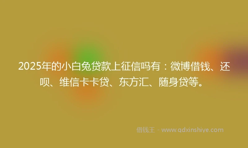 2025年的小白兔贷款上征信吗有：微博借钱、还呗、维信卡卡贷、东方汇、随身贷等。
