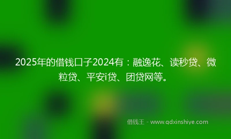 2025年的借钱口子2024有：融逸花、读秒贷、微粒贷、平安i贷、团贷网等。