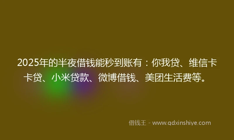 2025年的半夜借钱能秒到账有：你我贷、维信卡卡贷、小米贷款、微博借钱、美团生活费等。