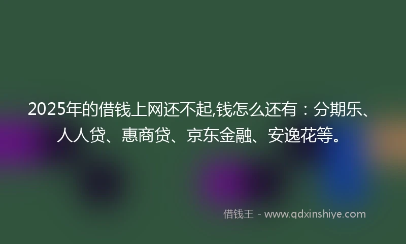 2025年的借钱上网还不起,钱怎么还有：分期乐、人人贷、惠商贷、京东金融、安逸花等。