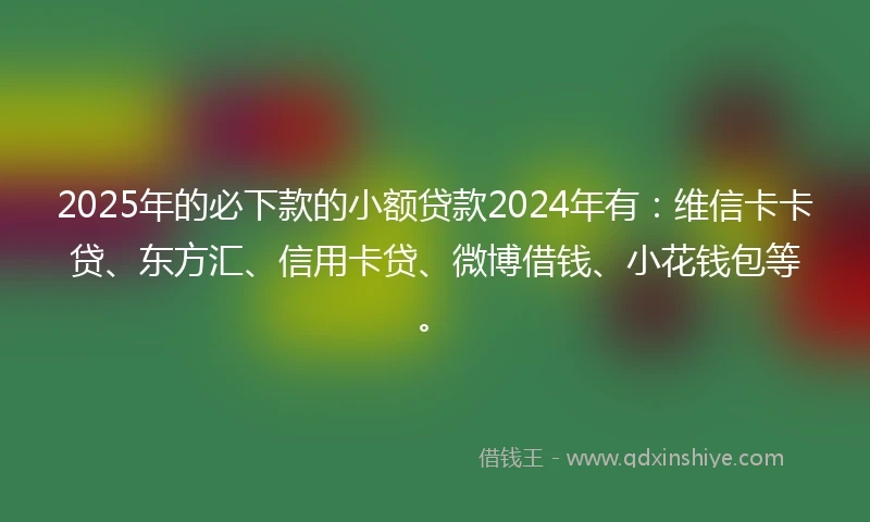2025年的必下款的小额贷款2024年有：维信卡卡贷、东方汇、信用卡贷、微博借钱、小花钱包等。