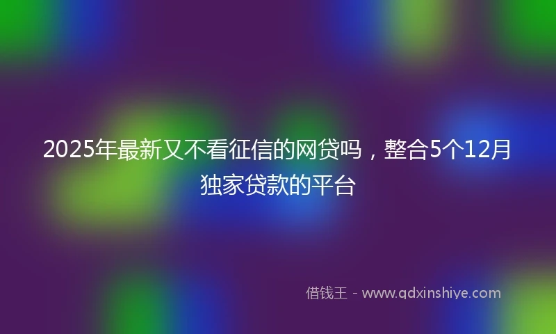 2025年最新又不看征信的网贷吗，整合5个12月独家贷款的平台