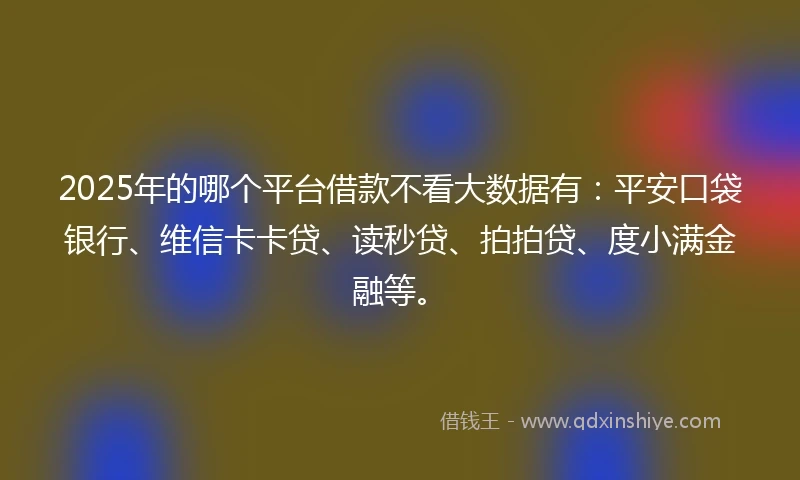 2025年的哪个平台借款不看大数据有：平安口袋银行、维信卡卡贷、读秒贷、拍拍贷、度小满金融等。