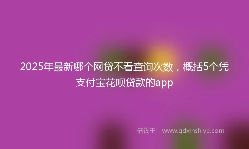 2025年最新哪个网贷不看查询次数，概括5个凭支付宝花呗贷款的app