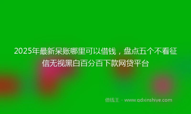 2025年最新呆账哪里可以借钱，盘点五个不看征信无视黑白百分百下款网贷平台