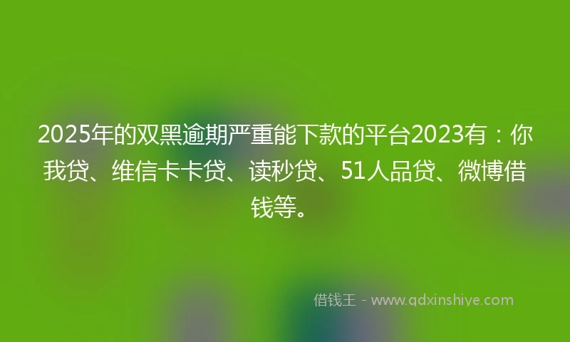 2025年的双黑逾期严重能下款的平台2023有：你我贷、维信卡卡贷、读秒贷、51人品贷、微博借钱等。