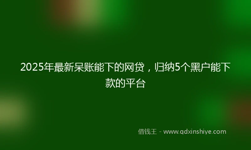 2025年最新呆账能下的网贷，归纳5个黑户能下款的平台