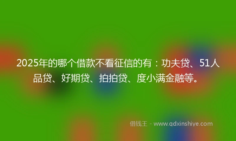 2025年的哪个借款不看征信的有：功夫贷、51人品贷、好期贷、拍拍贷、度小满金融等。