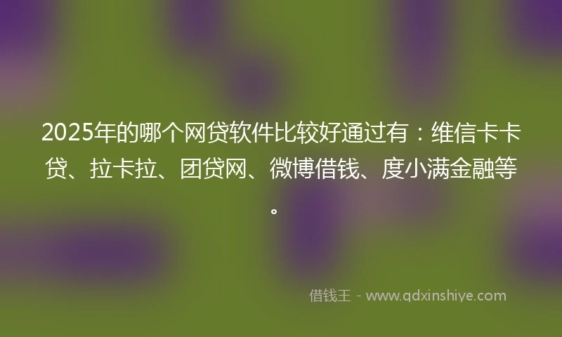 2025年的哪个网贷软件比较好通过有：维信卡卡贷、拉卡拉、团贷网、微博借钱、度小满金融等。