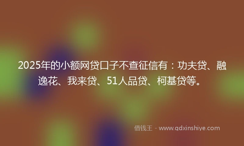 2025年的小额网贷口子不查征信有：功夫贷、融逸花、我来贷、51人品贷、柯基贷等。