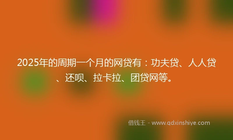 2025年的周期一个月的网贷有：功夫贷、人人贷、还呗、拉卡拉、团贷网等。