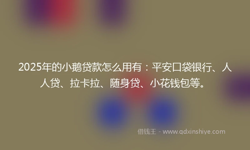 2025年的小鹅贷款怎么用有：平安口袋银行、人人贷、拉卡拉、随身贷、小花钱包等。