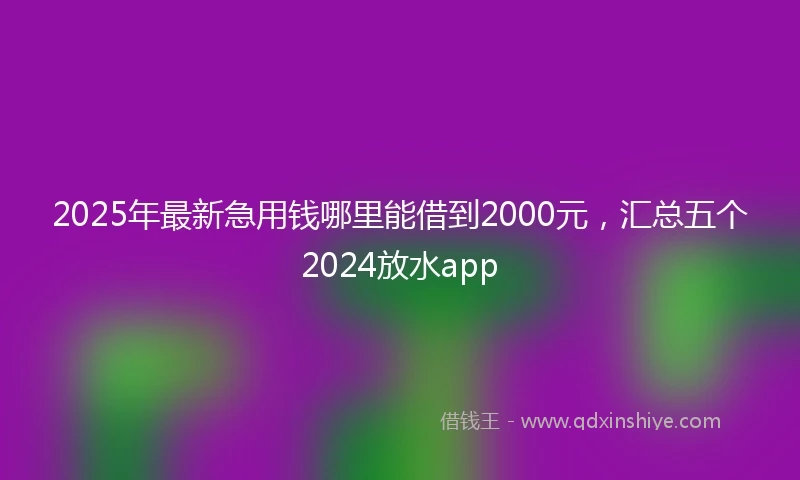 2025年最新急用钱哪里能借到2000元，汇总五个2024放水app