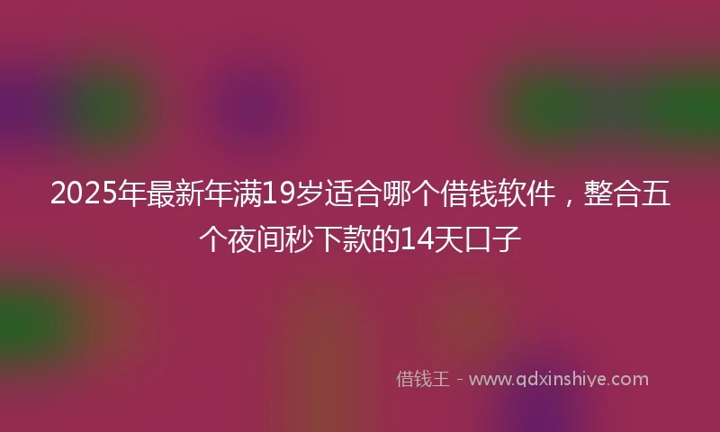2025年最新年满19岁适合哪个借钱软件，整合五个夜间秒下款的14天口子