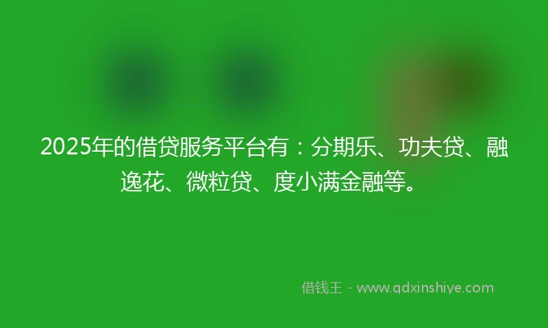 2025年的借贷服务平台有：分期乐、功夫贷、融逸花、微粒贷、度小满金融等。