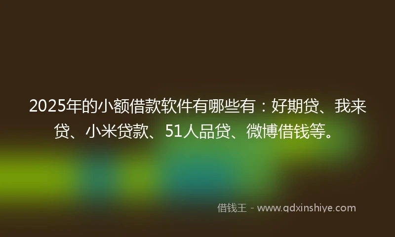 2025年的小额借款软件有哪些有：好期贷、我来贷、小米贷款、51人品贷、微博借钱等。