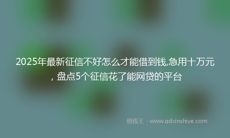 2025年最新征信不好怎么才能借到钱,急用十万元，盘点5个征信花了能网贷的平台