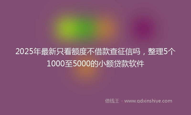 2025年最新只看额度不借款查征信吗，整理5个1000至5000的小额贷款软件