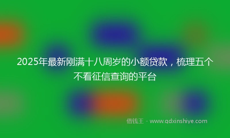 2025年最新刚满十八周岁的小额贷款，梳理五个不看征信查询的平台