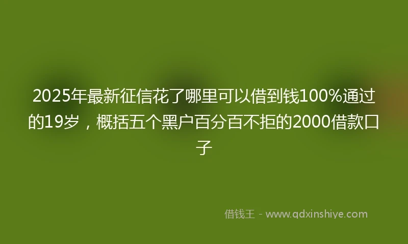 2025年最新征信花了哪里可以借到钱100%通过的19岁，概括五个黑户百分百不拒的2000借款口子