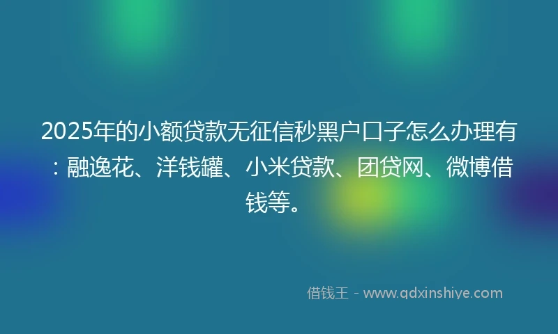 2025年的小额贷款无征信秒黑户口子怎么办理有：融逸花、洋钱罐、小米贷款、团贷网、微博借钱等。