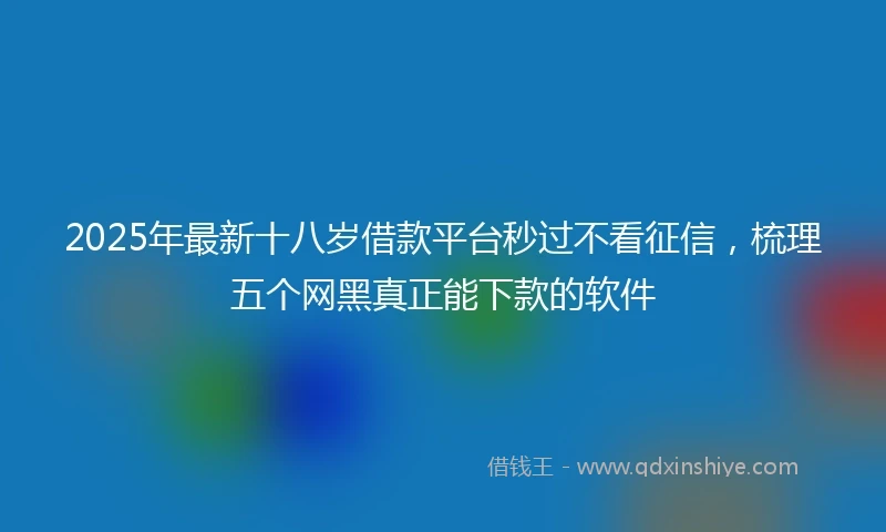 2025年最新十八岁借款平台秒过不看征信，梳理五个网黑真正能下款的软件