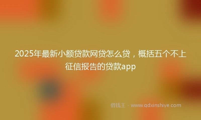 2025年最新小额贷款网贷怎么贷，概括五个不上征信报告的贷款app