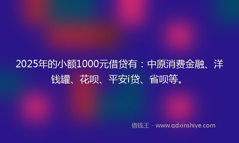 2025年的小额1000元借贷有：中原消费金融、洋钱罐、花呗、平安i贷、省呗等。