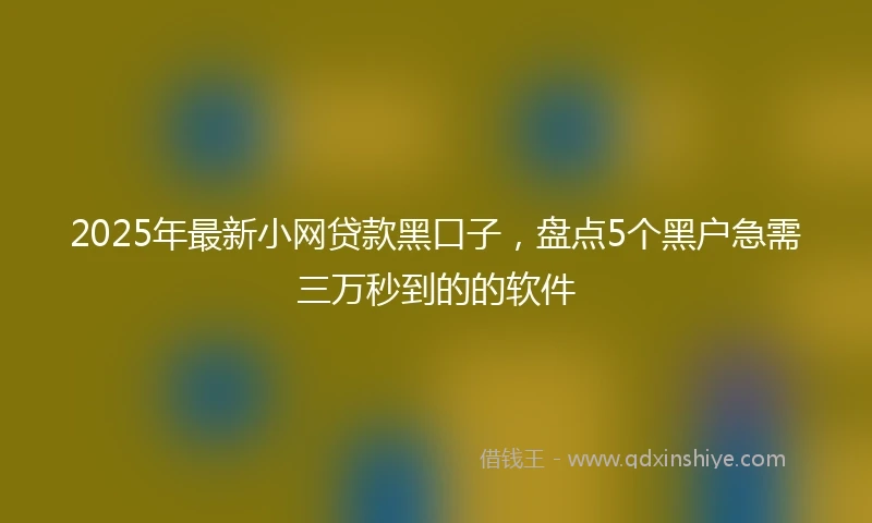 2025年最新小网贷款黑口子，盘点5个黑户急需三万秒到的的软件
