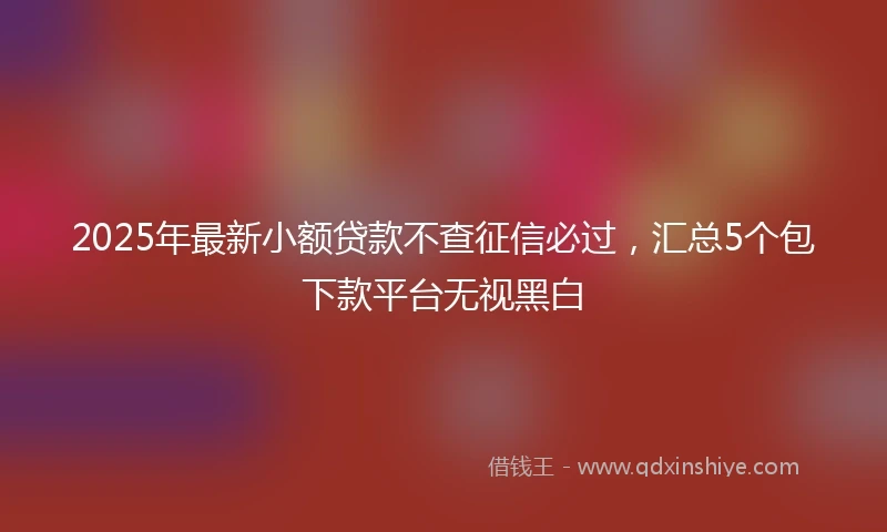 2025年最新小额贷款不查征信必过，汇总5个包下款平台无视黑白