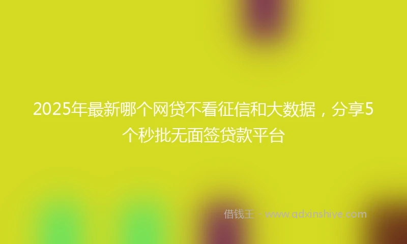 2025年最新哪个网贷不看征信和大数据，分享5个秒批无面签贷款平台