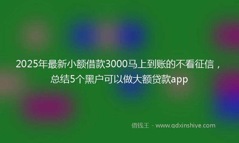 2025年最新小额借款3000马上到账的不看征信，总结5个黑户可以做大额贷款app