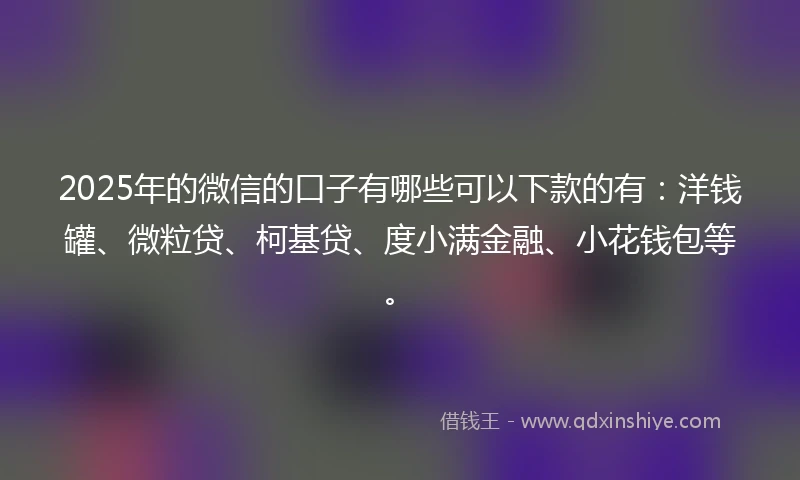 2025年的微信的口子有哪些可以下款的有：洋钱罐、微粒贷、柯基贷、度小满金融、小花钱包等。