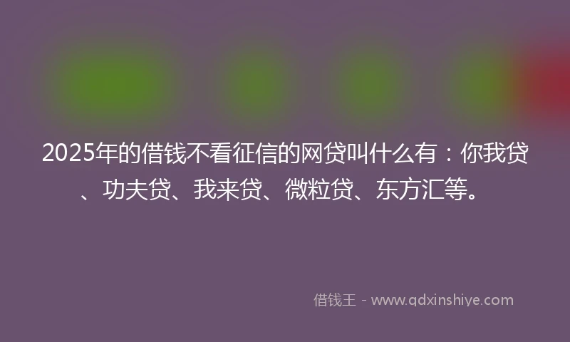 2025年的借钱不看征信的网贷叫什么有：你我贷、功夫贷、我来贷、微粒贷、东方汇等。