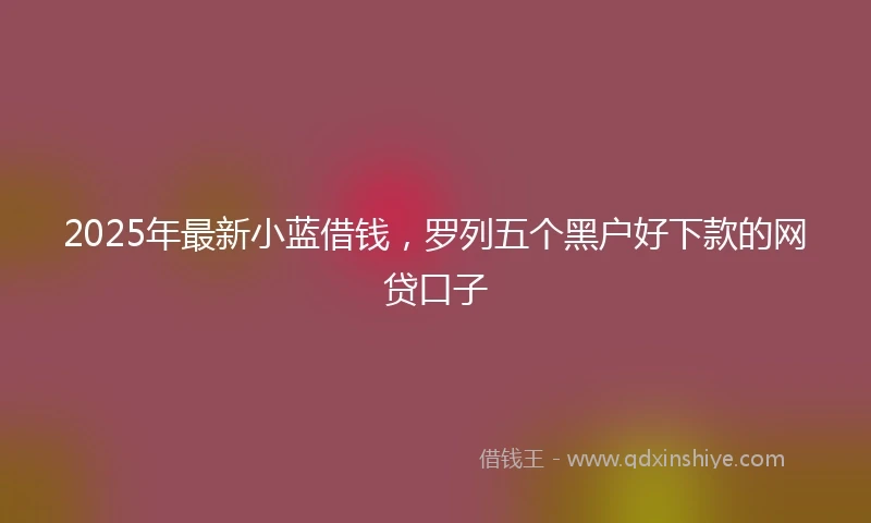 2025年最新小蓝借钱，罗列五个黑户好下款的网贷口子