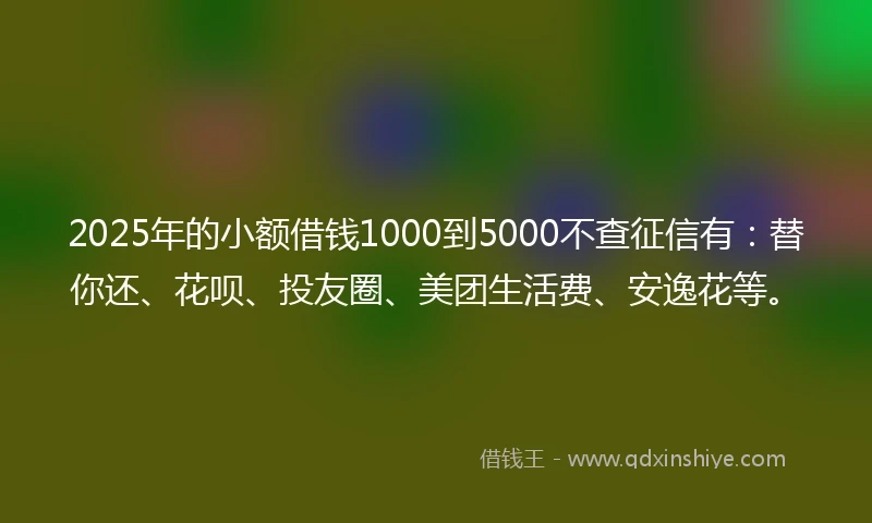 2025年的小额借钱1000到5000不查征信有：替你还、花呗、投友圈、美团生活费、安逸花等。