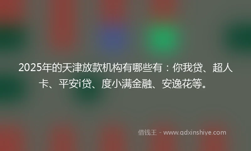2025年的天津放款机构有哪些有：你我贷、超人卡、平安i贷、度小满金融、安逸花等。