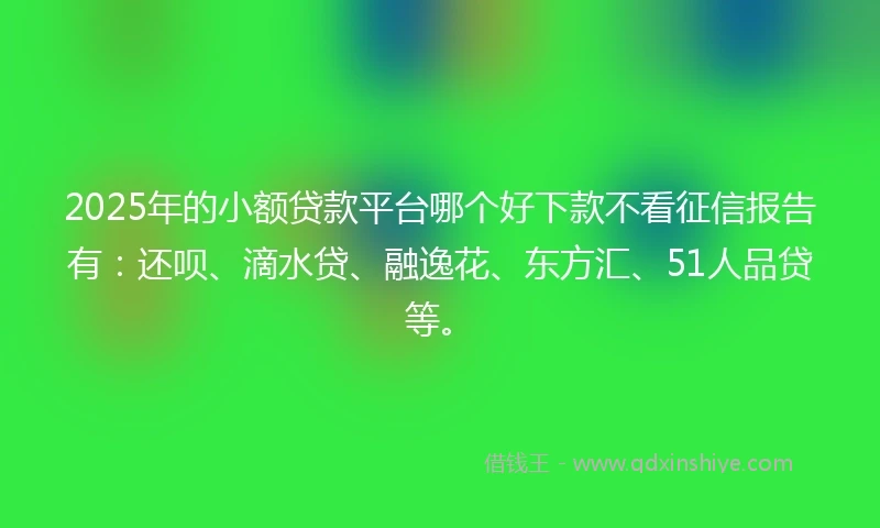 2025年的小额贷款平台哪个好下款不看征信报告有：还呗、滴水贷、融逸花、东方汇、51人品贷等。