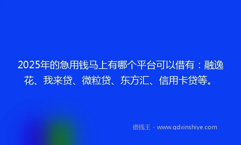 2025年的急用钱马上有哪个平台可以借有：融逸花、我来贷、微粒贷、东方汇、信用卡贷等。