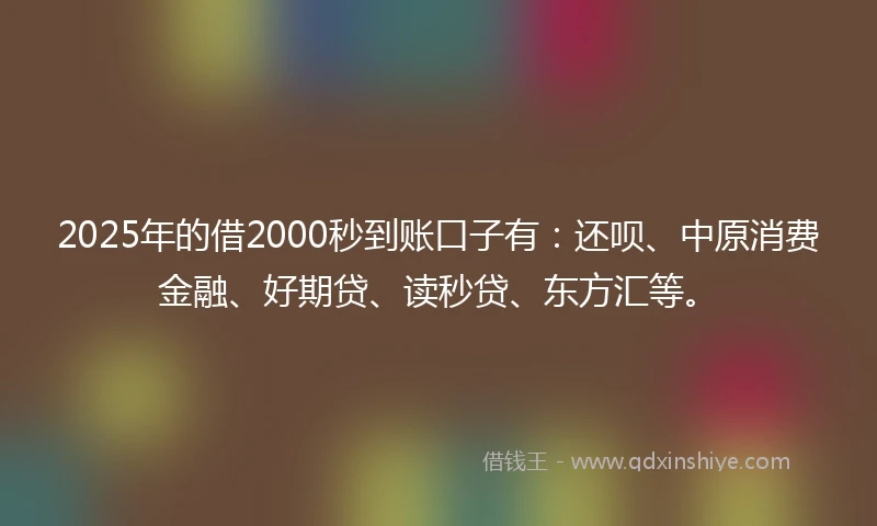 2025年的借2000秒到账口子有：还呗、中原消费金融、好期贷、读秒贷、东方汇等。
