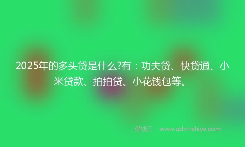2025年的多头贷是什么?有：功夫贷、快贷通、小米贷款、拍拍贷、小花钱包等。
