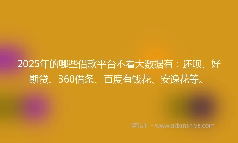 2025年的哪些借款平台不看大数据有：还呗、好期贷、360借条、百度有钱花、安逸花等。