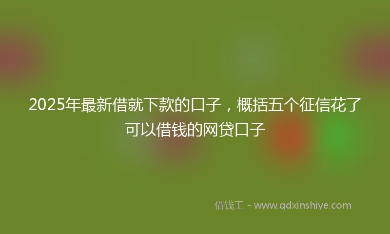 2025年最新借就下款的口子，概括五个征信花了可以借钱的网贷口子