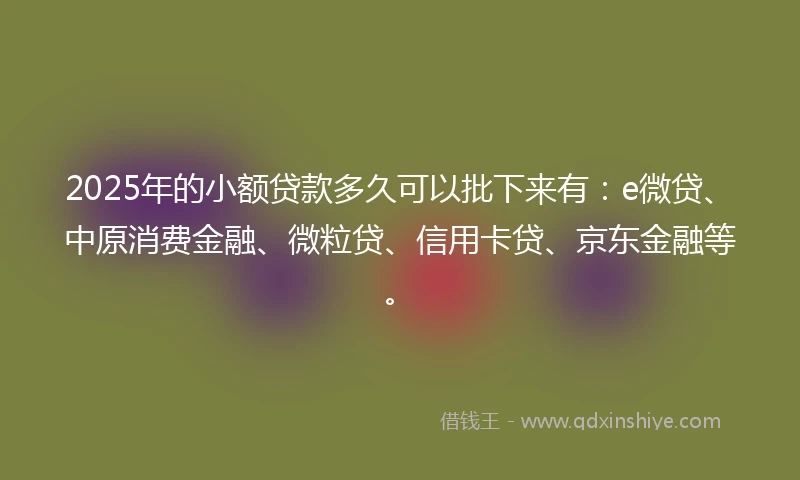 2025年的小额贷款多久可以批下来有：e微贷、中原消费金融、微粒贷、信用卡贷、京东金融等。