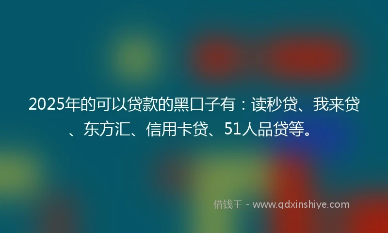2025年的可以贷款的黑口子有：读秒贷、我来贷、东方汇、信用卡贷、51人品贷等。