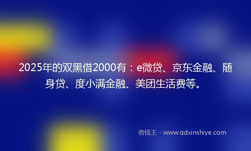 2025年的双黑借2000有：e微贷、京东金融、随身贷、度小满金融、美团生活费等。